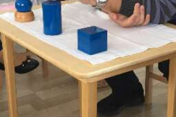 Montessori Derneği resimler Montessori Eğitmen Eğitimi