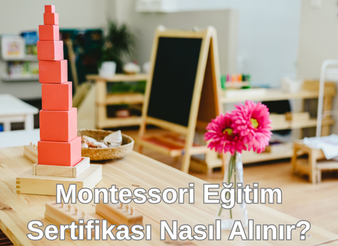 Montessori Eğitimi Sertifikası Nasıl Alınır?