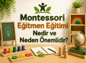 Montessori Eğitmen Eğitimi Nedir ve Neden Önemlidir