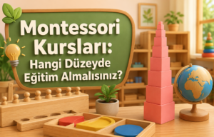 Montessori Kursları Hangi Düzeyde Eğitim Almalısınız