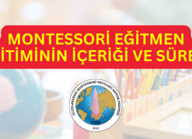 Montessori Eğitmen Eğitiminin İçeriği ve Süreci