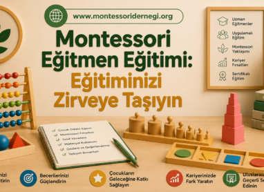 Montessori Eğitmen Eğitimi Eğitiminizi Zirveye Taşıyın