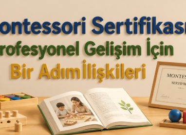 Montessori Sertifikası Profesyonel Gelişim İçin Bir Adım