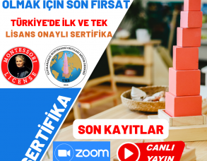 Montessori Eğitmen Eğitimi Canlı Yayın Eğitimleri