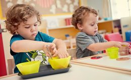 Ankara Montessori Uygulayıcı Eğitimi