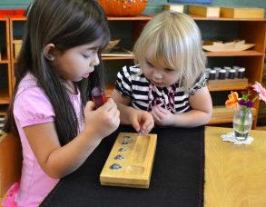 Kocaeli Montessori Uygulayıcı Eğitimi