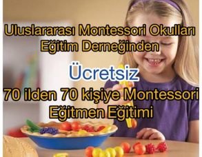 70 ilden 70 kişiye ücretsiz montessori eğitmen eğitimi verilecektir.